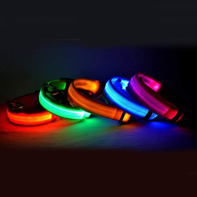 Collar LED Luminoso para Perros y Gatos - Seguridad Nocturna con Luz Fluorescente - Image 26