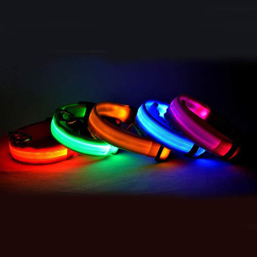 Collar LED Luminoso para Perros y Gatos - Seguridad Nocturna con Luz Fluorescente - Image 26