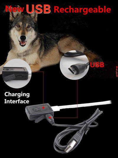 Collar LED Luminoso para Perros y Gatos - Seguridad Nocturna con Luz Fluorescente - Image 31