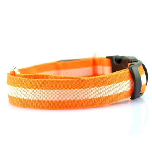 Collar LED Luminoso para Perros y Gatos - Seguridad Nocturna con Luz Fluorescente - Image 32
