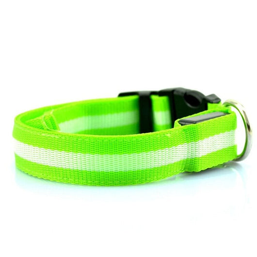 Collar LED Luminoso para Perros y Gatos - Seguridad Nocturna con Luz Fluorescente - Image 33