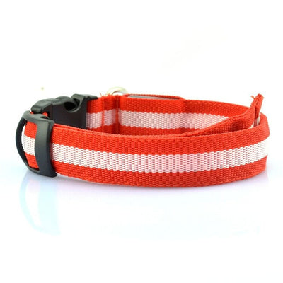 Collar LED Luminoso para Perros y Gatos - Seguridad Nocturna con Luz Fluorescente - Image 34