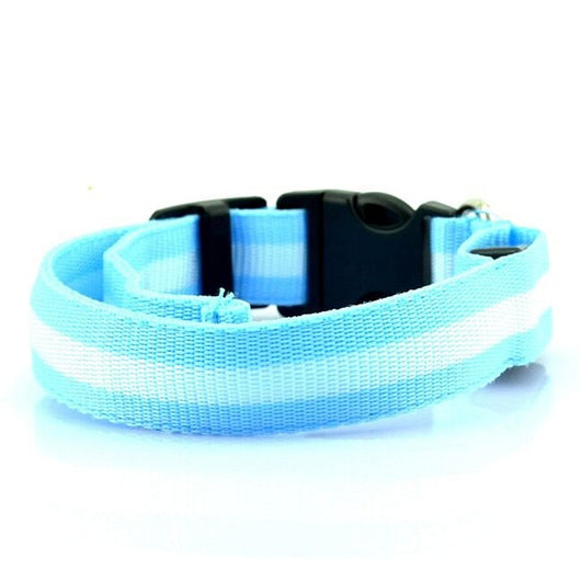 Collar LED Luminoso para Perros y Gatos - Seguridad Nocturna con Luz Fluorescente - Image 35