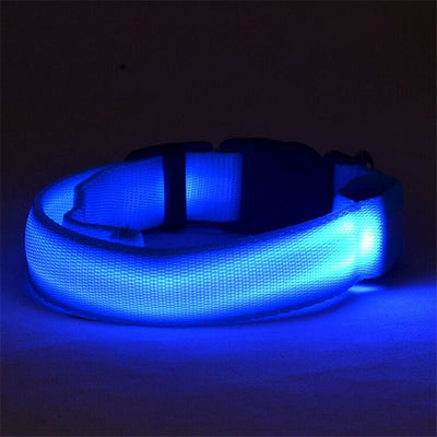 Collar LED Luminoso para Perros y Gatos - Seguridad Nocturna con Luz Fluorescente - Image 36
