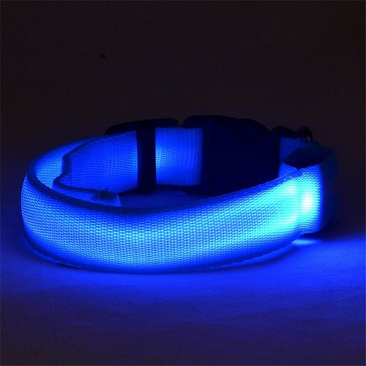 Collar LED Luminoso para Perros y Gatos - Seguridad Nocturna con Luz Fluorescente - Image 36