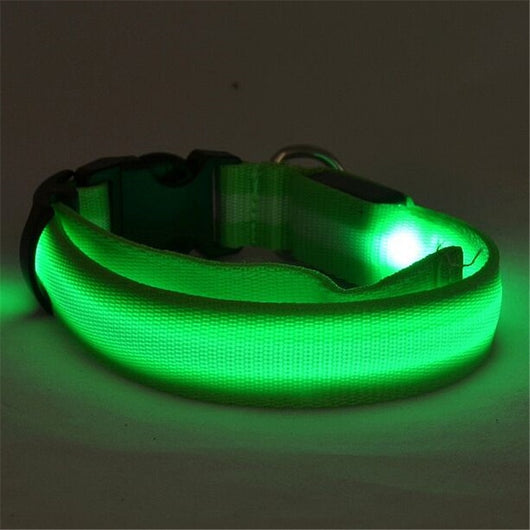 Collar LED Luminoso para Perros y Gatos - Seguridad Nocturna con Luz Fluorescente - Image 37