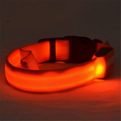 Collar LED Luminoso para Perros y Gatos - Seguridad Nocturna con Luz Fluorescente - Image 38