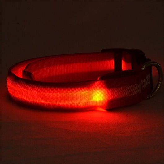 Collar LED Luminoso para Perros y Gatos - Seguridad Nocturna con Luz Fluorescente - Image 39
