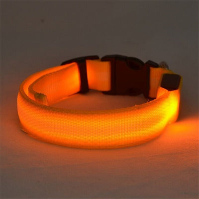 Collar LED Luminoso para Perros y Gatos - Seguridad Nocturna con Luz Fluorescente - Image 40