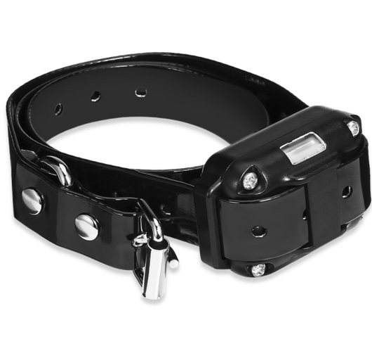 Three electric dog training collars in black, orange, and yellow with receivers, alongside a black and yellow remote control. - Image 29