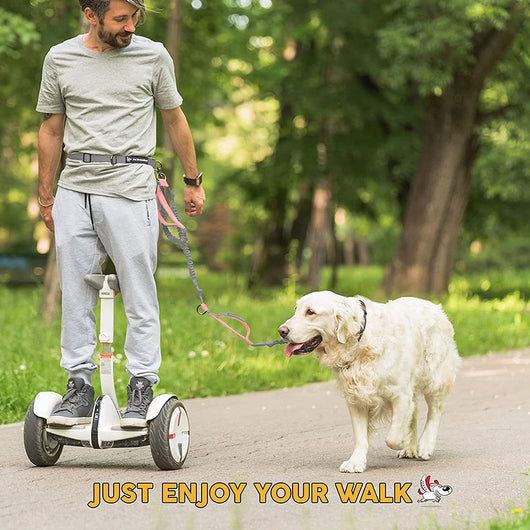 Correa Extensible para Pasear Mascotas - Portátil y Segura - Image 14