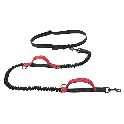 Correa Extensible para Pasear Mascotas - Portátil y Segura - Image 16