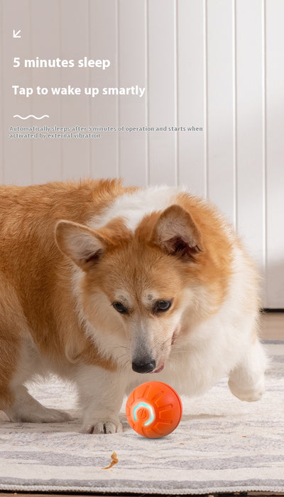 Blue smart pet toy ball with a glowing yellow power button, an electronic interactive toy for dogs and cats. - Image 18