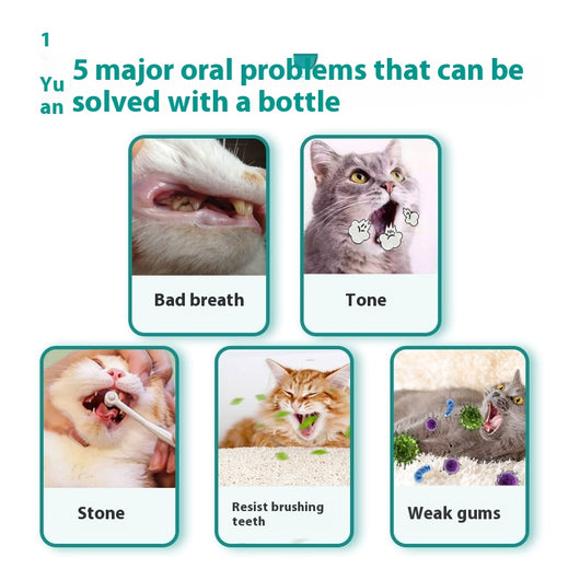 Enjuague Bucal para Mascotas - Dientes Saludables - Image 7