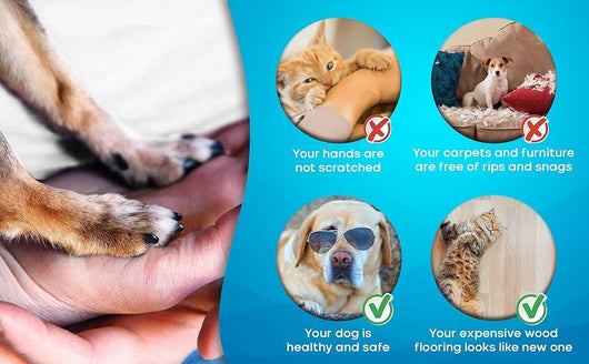Cortaúñas Eléctrico para Perros y Gatos - Silencioso Recargable con 5 Velocidades - Image 18