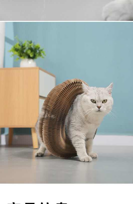 Rascador Magnético Plegable para Gatos con Juguete Interactivo - Image 14
