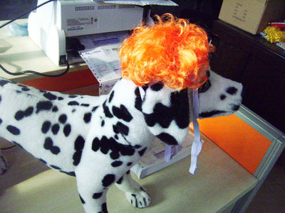Adorno para Cabeza de Perro - Accesorios de Moda Canina - Image 13