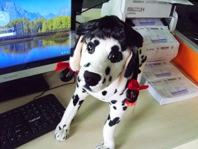 Peluca Canina con Trenzas Dobles - Accesorios Divertidos para Mascotas - Image 11