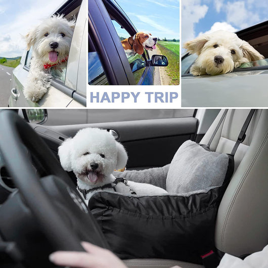Asiento de Seguridad para Mascotas en Auto - Image 14