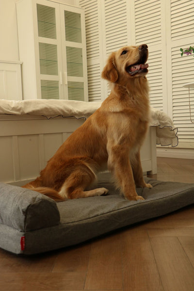 Caseta para Perro de Espuma Viscoelástica con Funda Impermeable Removible - Image 16