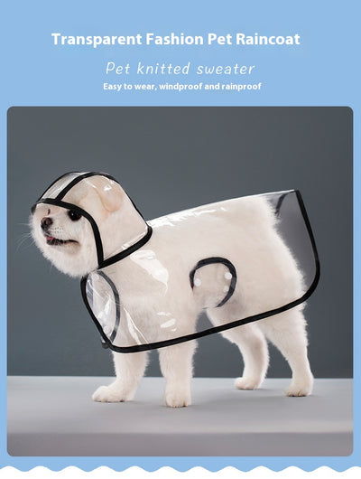 Impermeable Transparente para Perros - Image 12