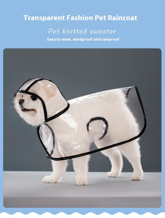 Impermeable Transparente para Perros - Image 12
