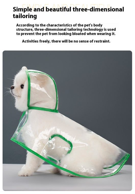 Impermeable Transparente para Perros - Image 14