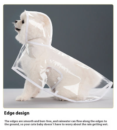 Impermeable Transparente para Perros - Image 18
