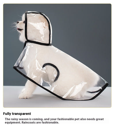 Impermeable Transparente para Perros - Image 19