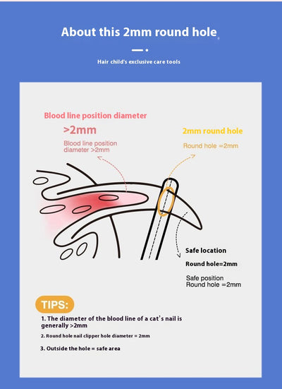 Tijeras de Uñas para Gatos con Protector Anti-corte y Línea de Sangre - Image 19