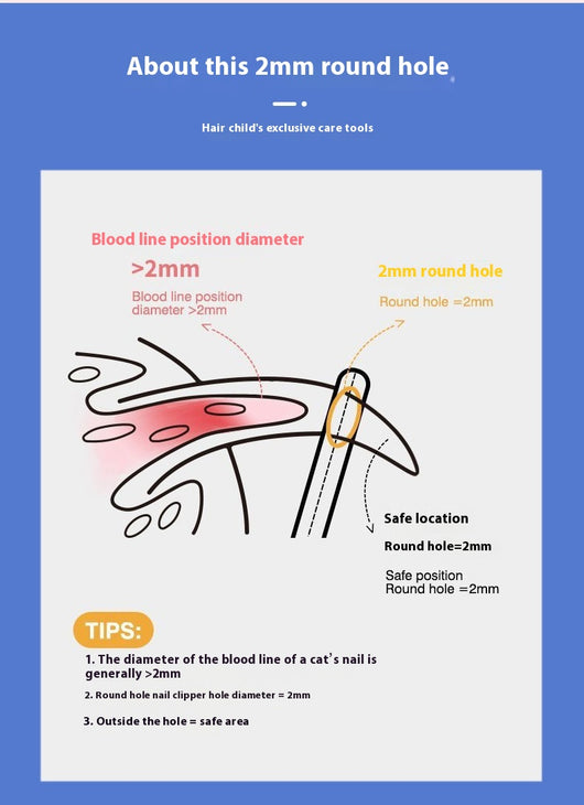 Tijeras de Uñas para Gatos con Protector Anti-corte y Línea de Sangre - Image 19