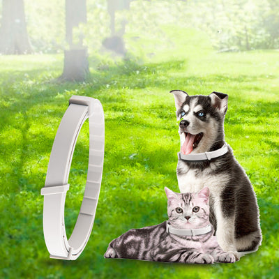 Collar Antiparasitario Ajustable para Perros y Gatos - Image 6