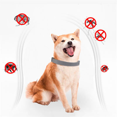 Collar Antiparasitario Ajustable para Perros y Gatos - Image 11