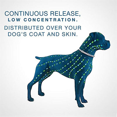 Collar Antiparasitario Ajustable para Perros y Gatos - Image 12
