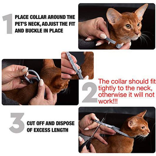 Collar Antiparasitario Ajustable para Perros y Gatos - Image 15