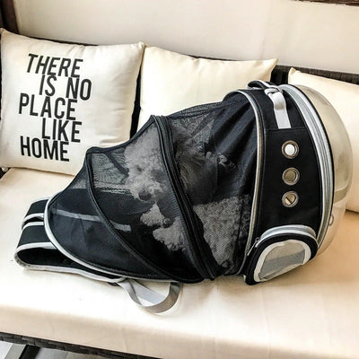 Mochila Transportadora para Gatos - Expandible con Ventanas Transparentes - Image 13