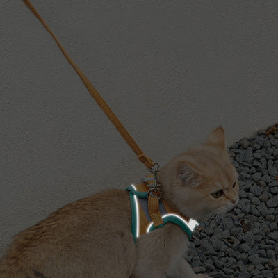 Arnés Reflectante para Gatos con Correa de Tracción - Seguridad y Estilo - Image 9
