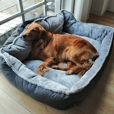 Sofá Cómodo para Perros Golden Retriever - Image 10
