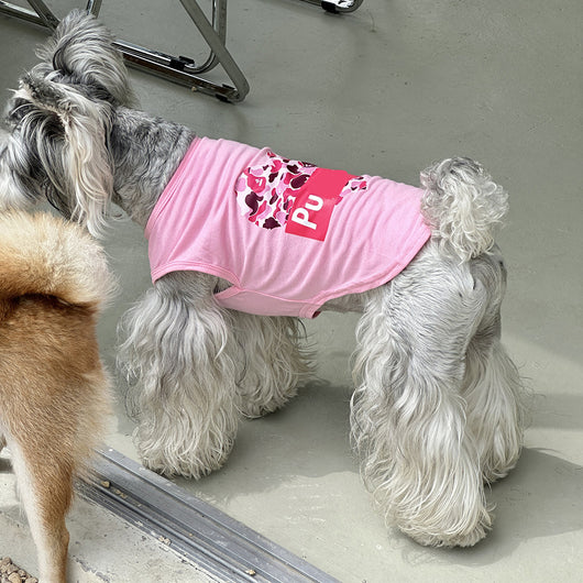 Chaleco Fresco para Perros - Ropa de Algodón para Primavera y Verano - Image 19