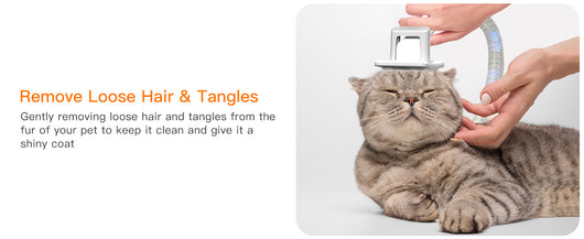 Acondicionador Multifuncional para Mascotas con Limpieza Profunda - Image 16