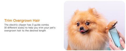 Acondicionador Multifuncional para Mascotas con Limpieza Profunda - Image 17
