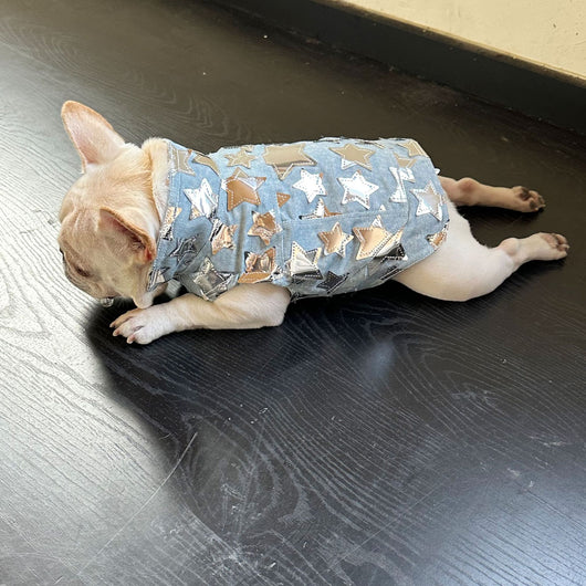 Chaleco Denim Fresco para Mascotas - Perros y Gatos Verano - Image 42
