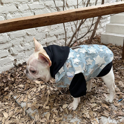 Chaleco Denim Fresco para Mascotas - Perros y Gatos Verano - Image 53