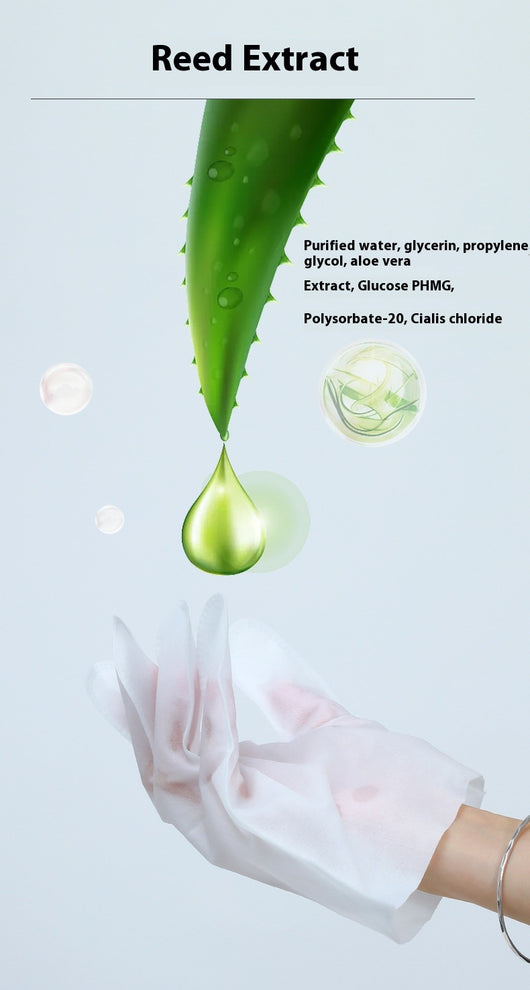 Guantes Desechables Desinfectantes con Papel Desodorizante para Mascotas - Image 15