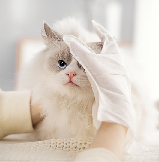 Guantes Desechables Desinfectantes con Papel Desodorizante para Mascotas - Image 22