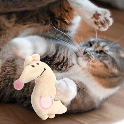 Juguete Interactivo para Gatos Osito Canguro de Peluche con Catnip - Image 14