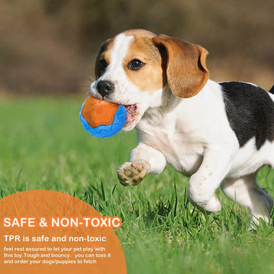 Pelota Interactiva Funi Bite para Adiestramiento Canino - Image 13