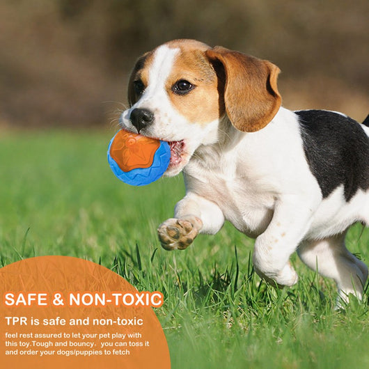 Pelota Interactiva Funi Bite para Adiestramiento Canino - Image 13