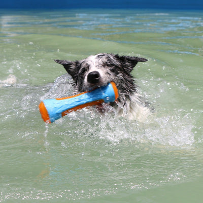 Pelota Interactiva Funi Bite para Adiestramiento Canino - Image 15