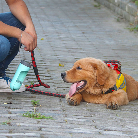 Bebedero Colgante para Mascotas - Vaso de Agua Portátil para Perros - Image 56